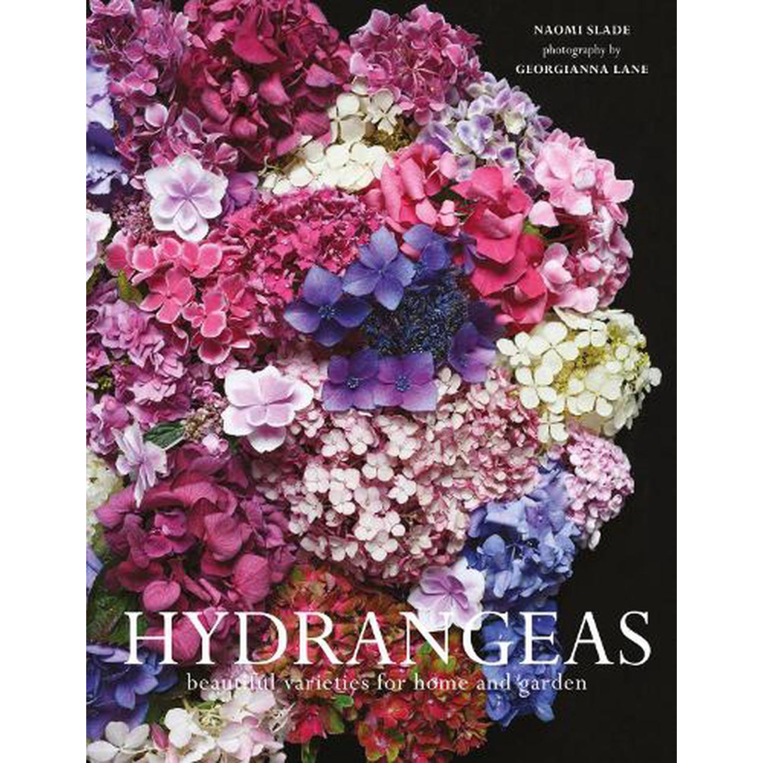 Hydrangeas: Beautiful Varieties for Home and Garden