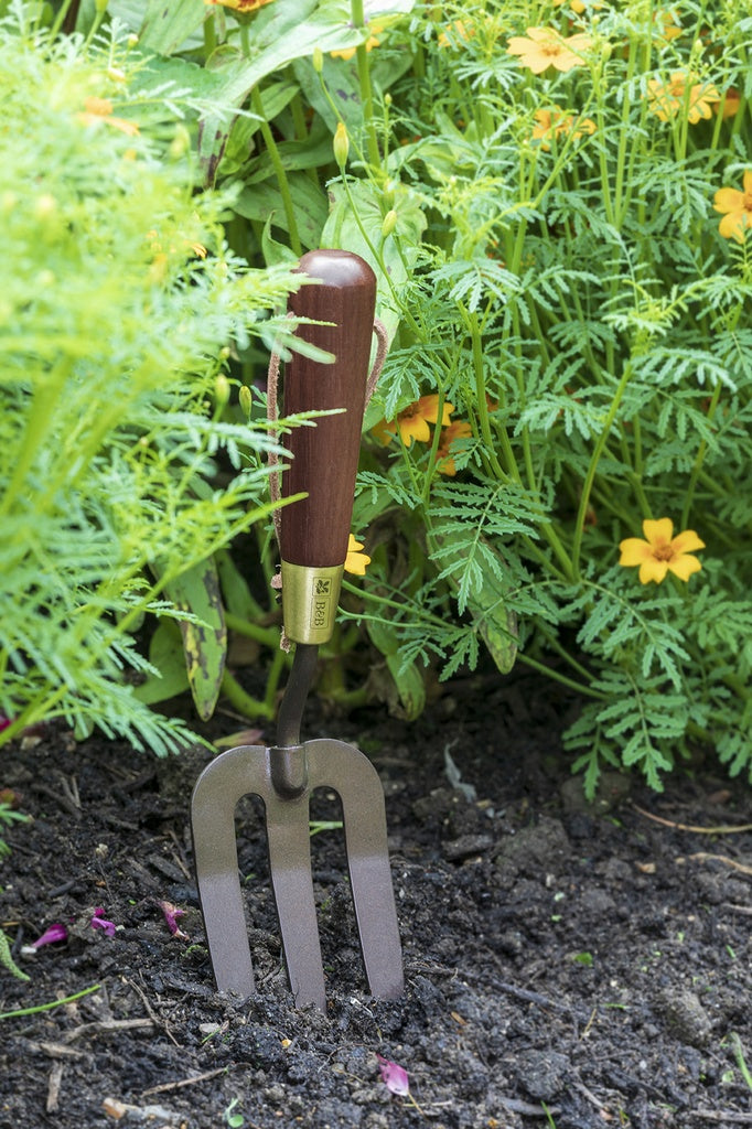 National Trust - Hand Fork