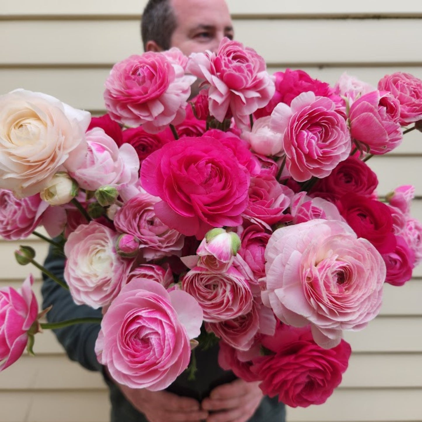 Porcelain - Specialty Ranunculus