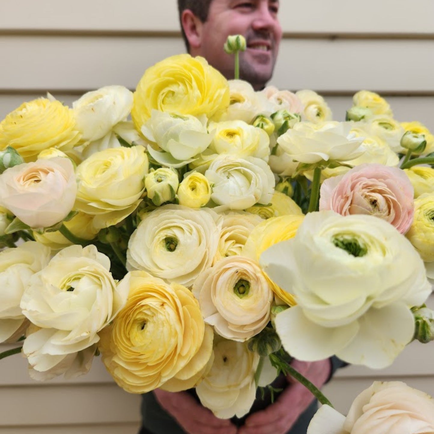 Wedding Pastels - Specialty Ranunculus