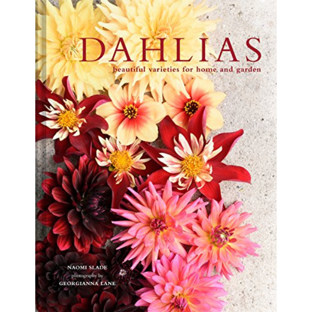 Dahlias: Beautiful Varieties for Home and Garden