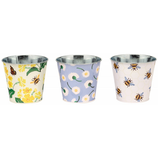 Emma Bridgewater Signs of Spring Set of 3 Small Herb Pots