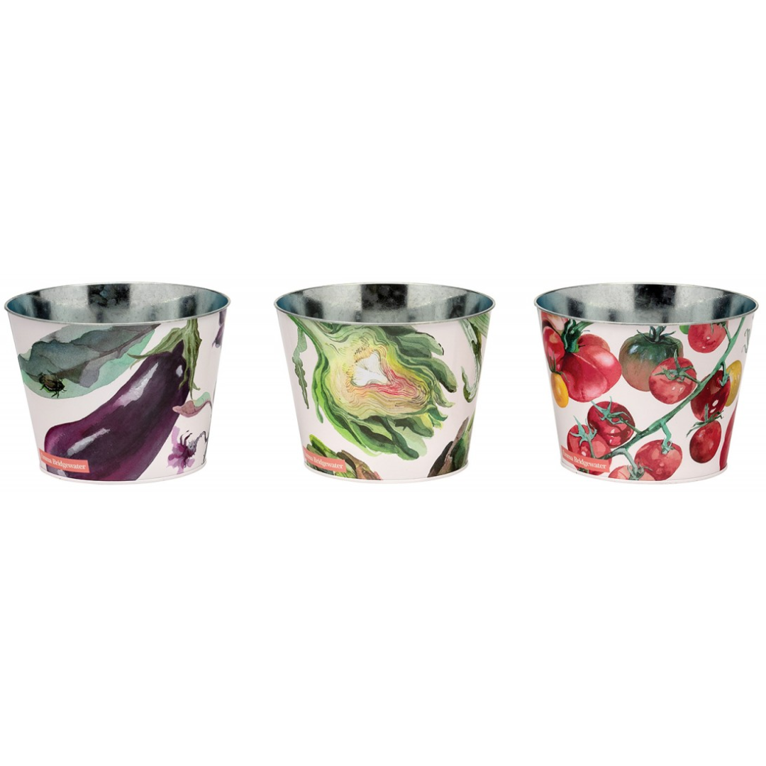 Emma Bridgewater Vegetable Garden Set of 3 Large Plant Pots