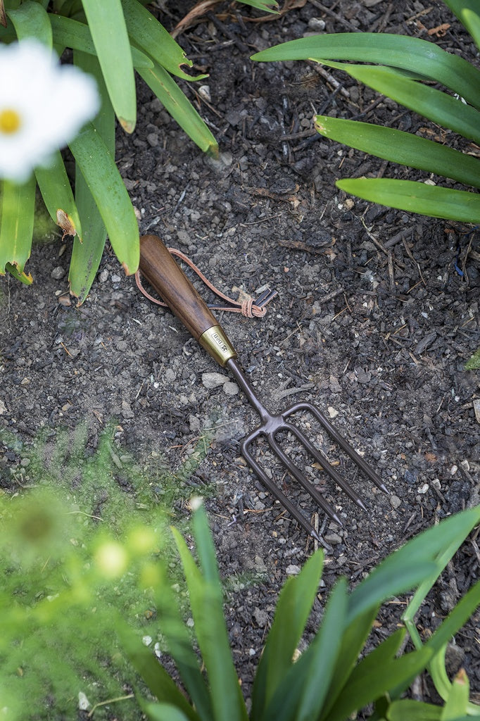 National Trust - Round Tined Fork