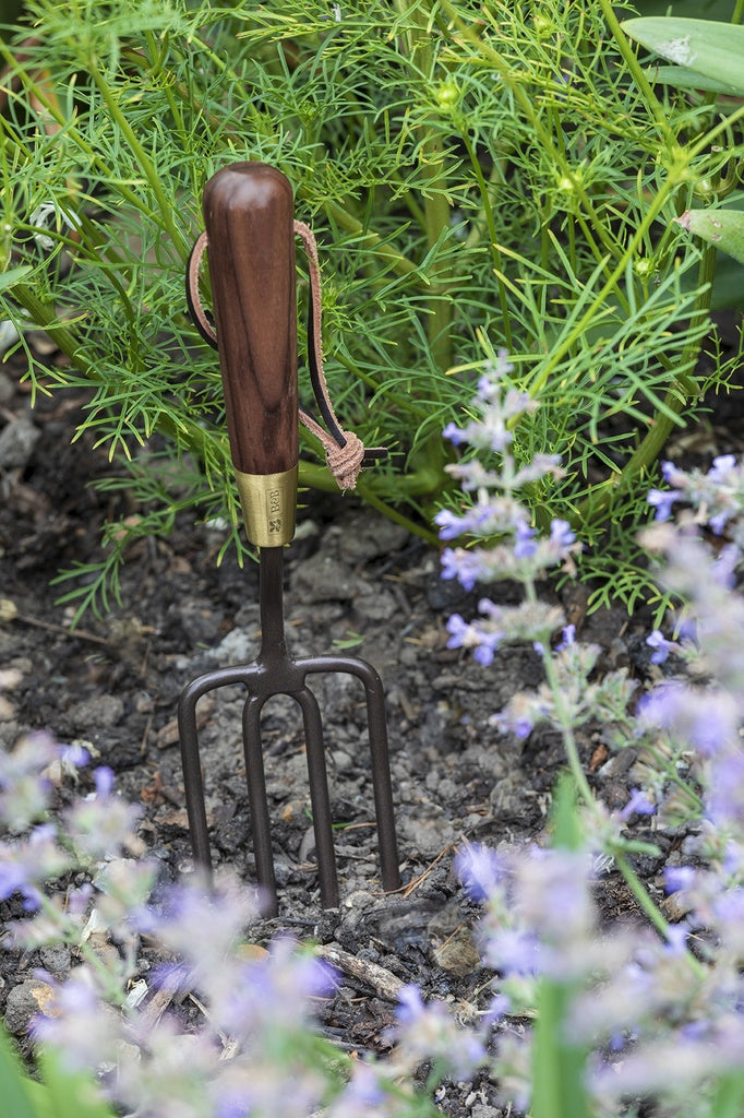 National Trust - Round Tined Fork