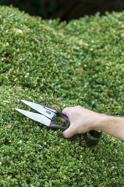 National Trust - Topiary Shear