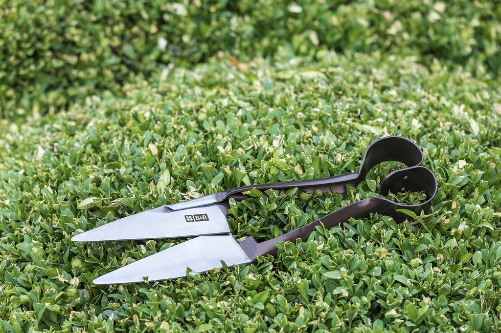 National Trust - Topiary Shear