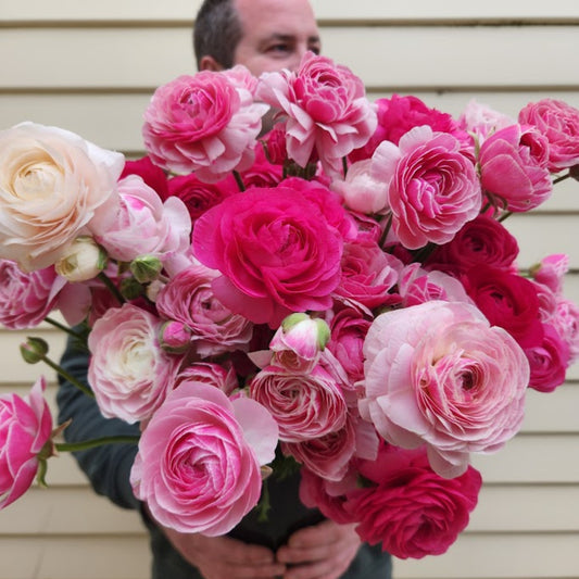 Porcelain - Specialty Ranunculus