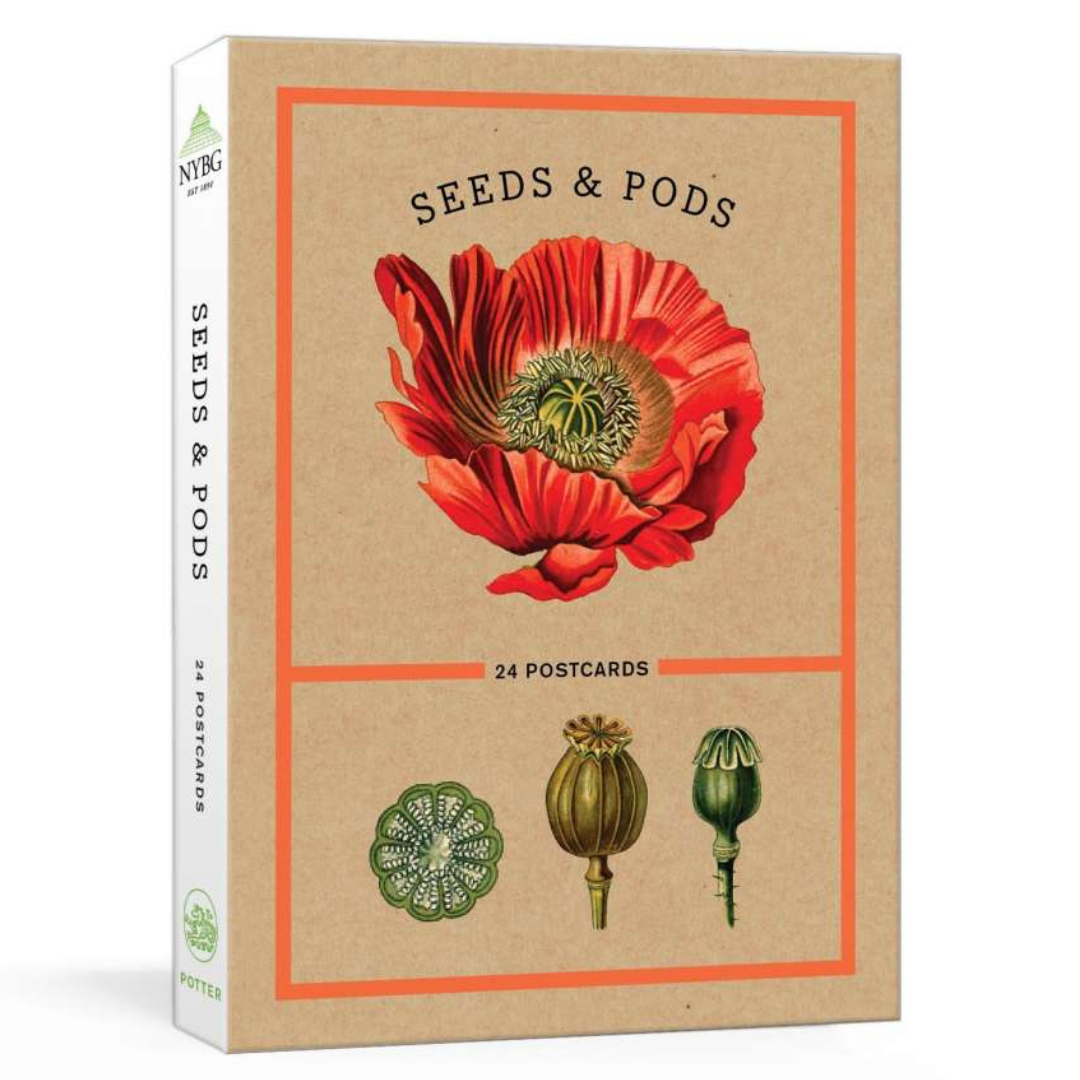 Seeds & Pods 24 Postcards