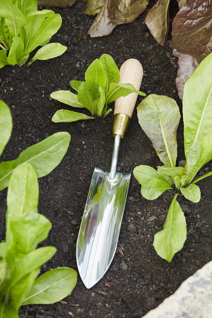 Sophie Conran - Long Thin Trowel (Gift Boxed)