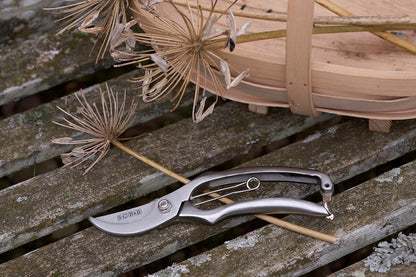 Sophie Conran - Secateurs (Gift Boxed)