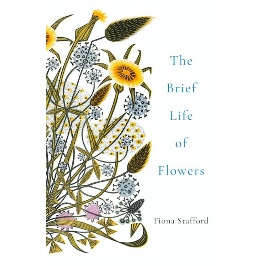 The Brief Life of Flowers