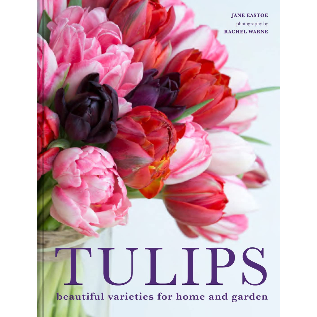 Tulips: Beautiful Varieties For Home And Garden